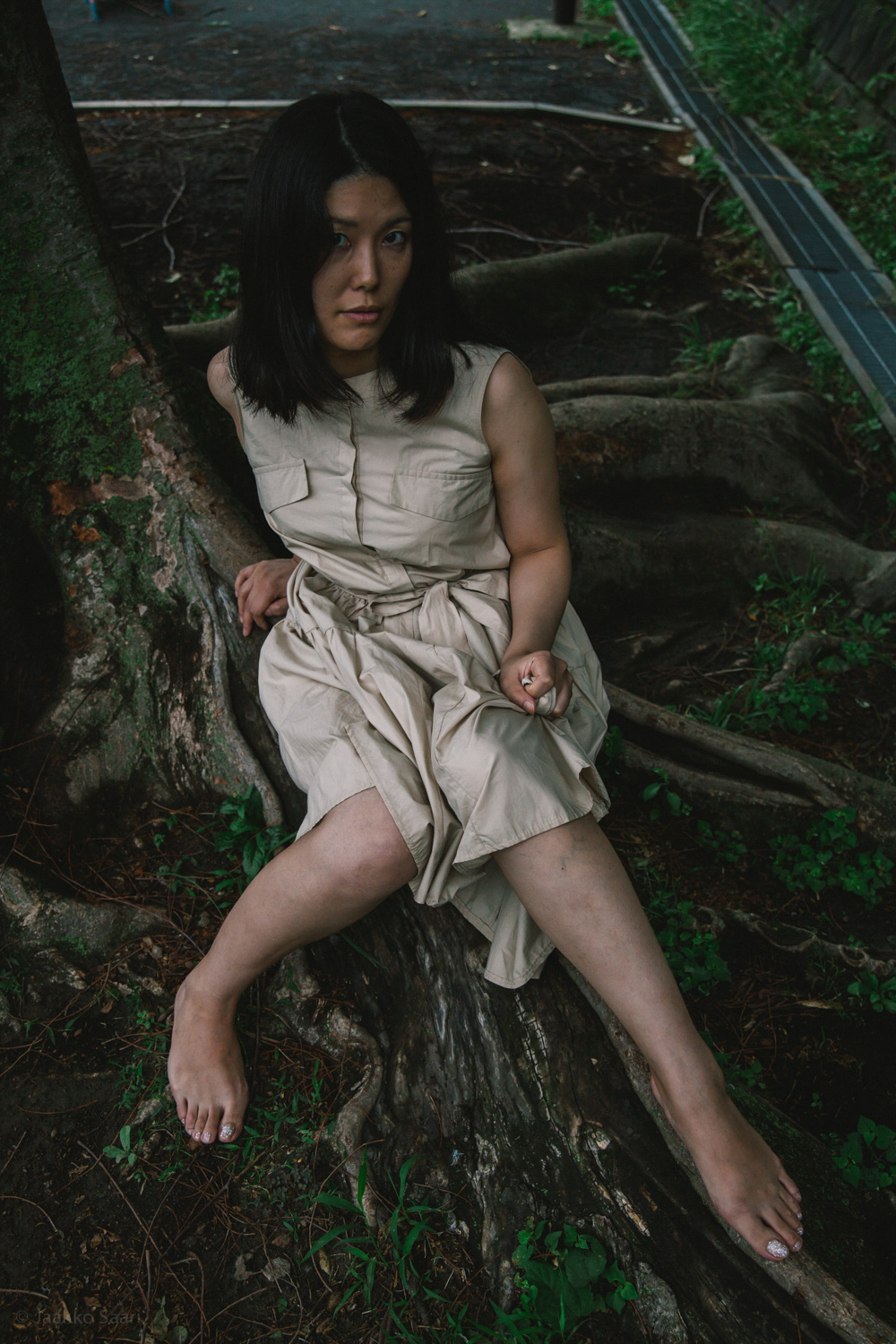 Honey_Forest_Jaakko