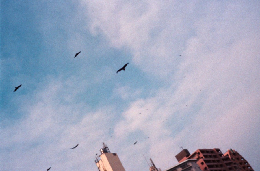 sky1 (2)_processed